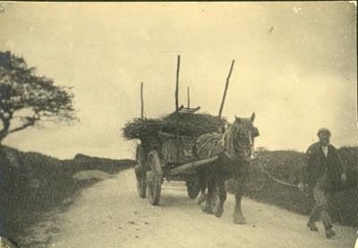 Lot 27 - An Edwardian Pictorialist Photograph Album