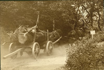 Lot 27 - An Edwardian Pictorialist Photograph Album