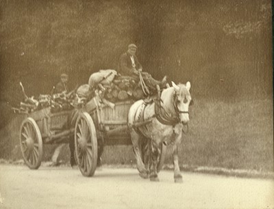 Lot 27 - An Edwardian Pictorialist Photograph Album