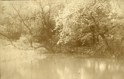 Lot 27 - An Edwardian Pictorialist Photograph Album