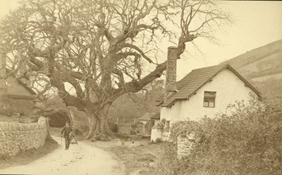 Lot 27 - An Edwardian Pictorialist Photograph Album