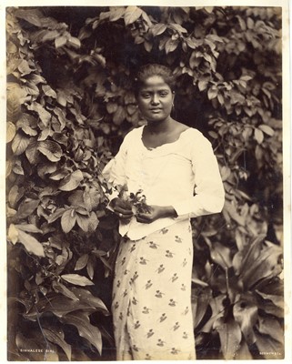 Lot 22 - CHARLES THOMAS SCOWEN & Co, Singhalese Girl