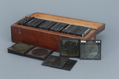 Lot 99 - Collection of Animal Magic Lantern Slides