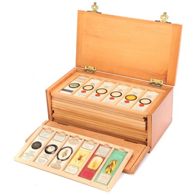Lot 18 - A Microscope Slide Collection
