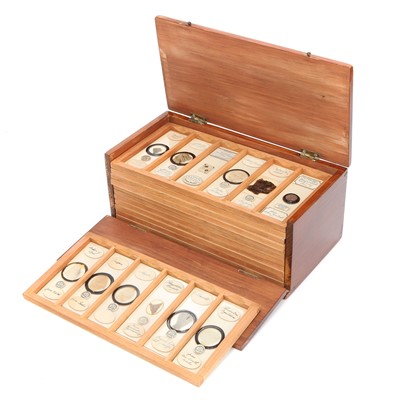 Lot 19 - A Microscope Slide Collection