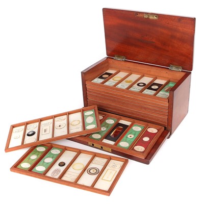 Lot 20 - A Microscope Slide Collection
