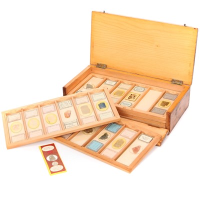Lot 21 - A Microscope Mineral Slide Collection