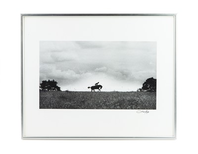 Lot 141 - PATRICK LICHFIELD (1939-2005), A Racehorse
