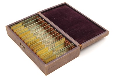 Lot 35 - A Collection of Thirteen Cased Microscope Microphotographs